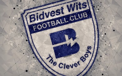 Bidvest Wits FC 4k