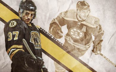 Boston Bruins HD images