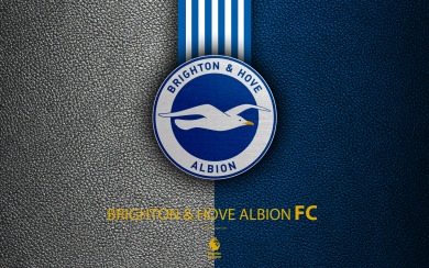 Brighton and Hove Albion FC 4k