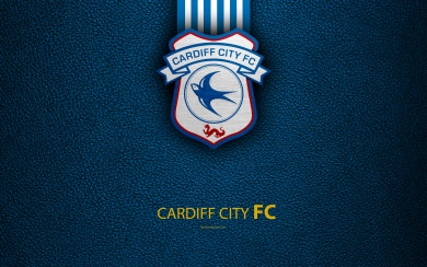 Cardiff City FC 4K English football club logo