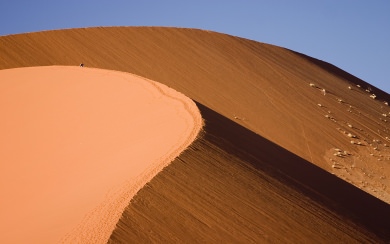 Dune Namib Desert