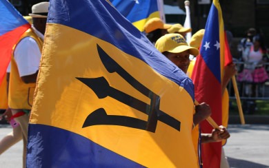 Free stock photo of Barbados fag