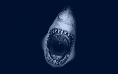 Jaws Movie Poster desktop wallpapers