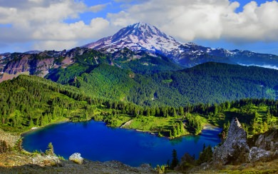 Mount Rainier National Park Washington United States Wallpapers 2020