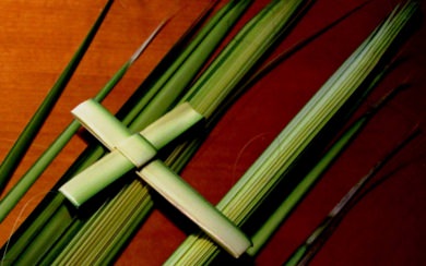 Palm Sunday 2020 Wallpapers Backgrounds