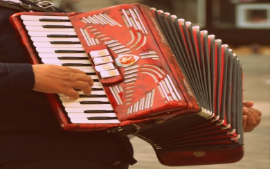 red black and white accordion