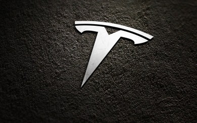 Tesla 2020 Motors