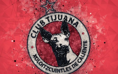 Tijuana 4k geometric art logo Mexican
