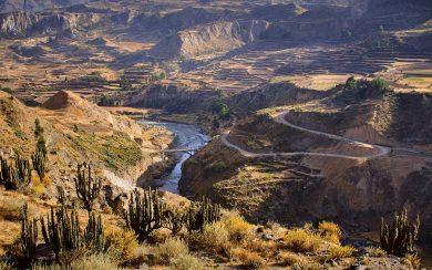 Trekking Guide to the Colca Canyon Peru