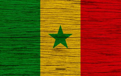 wallpapers Flag of Senegal 4k