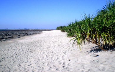White Sands Beaches