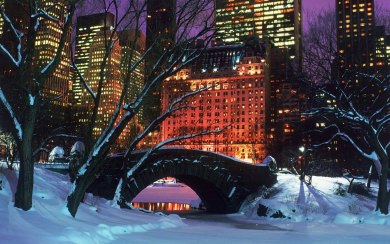 Winter Central Park Wallpapers