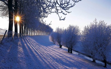 Winter Landscapes 2021