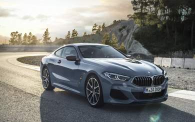 2019 BMW 8 Series Pictures Photos Wallpapers Top Speed