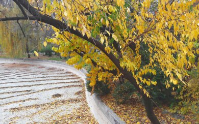 Autumn in Cimigiu Park Bucharest