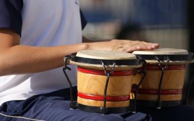 Bongo Drums Images
