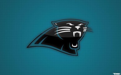 Carolina Panthers New Logo