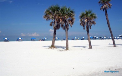 Clearwater Florida  2020 Phone PC 4K  Wallpapers