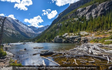 Colorado Leaves Best 2020 4K Photos iPhone