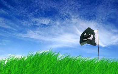 Download Pakistan Flag Wallpaper Iphone Wallpaper 