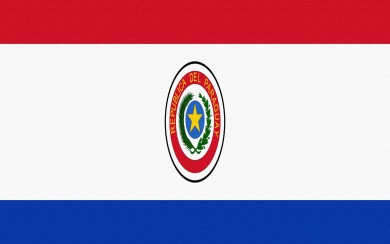 Paraguay Flag 2020