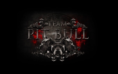 Pit Bulls New Team Logo