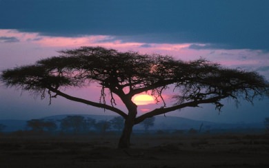 Sunsets Sudan 2020 Wallpapers