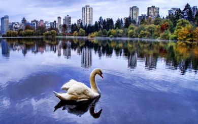 Vancouver 2020 Wallpaper HD for Mobiles