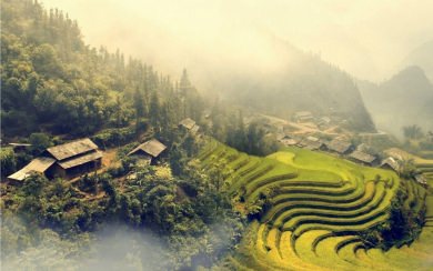 Vietnam At Foggy Wallpapers for Mobile iPhone Mac