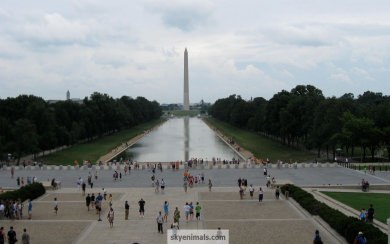 Washington DC Photos For Mobile