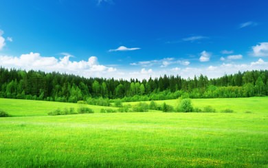 Green grass Thick Wallpapers 2020