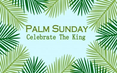 Palm Sunday 4K