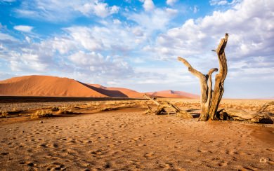 Sossusvlei Namibia Desert 4K