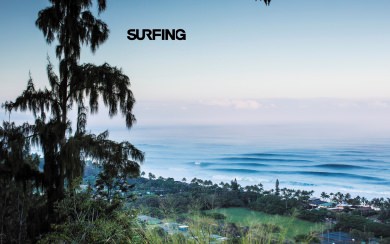Surfing 2020 Wallpaper