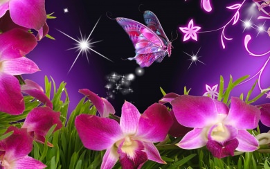 Beautiful Butterflies 2020 4K iPhone Mac