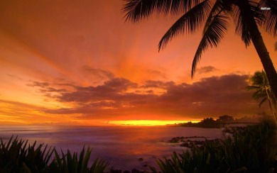 Hawaii Sunset HD 4K