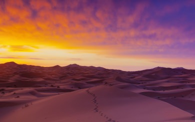 Sahara Desert Morocco 4K 2020 HD