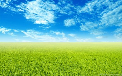 Sky And Grass 4K HD 2020 iPhone Mac Desktop Android