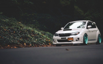 Subaru Impreza Road Forest