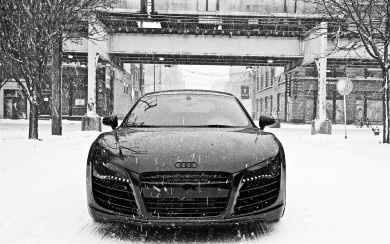 Audi Backgrounds in HD For Free Download
