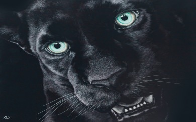 Black Jaguar 4K HD Download