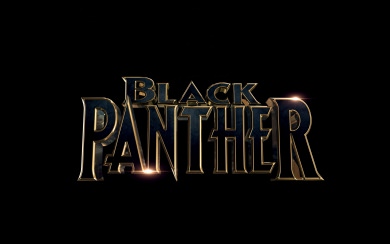 Black Panther Movie Wallpaper 4k