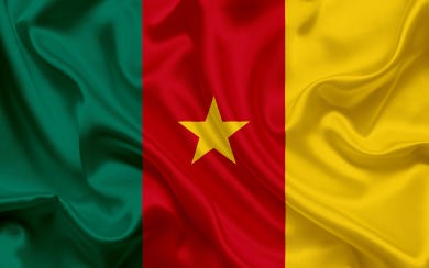 Cameroon flag Africa
