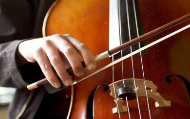 Cello Wallpaper For Phone 4K HD Mobile PC Download