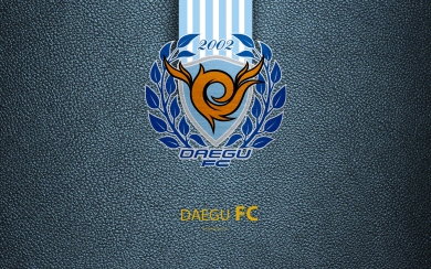 Daegu FC 4k logo South Korea HD Free Download