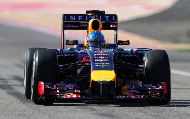 Daniel Ricciardo Red Bull New Wallpaper HD Free Download