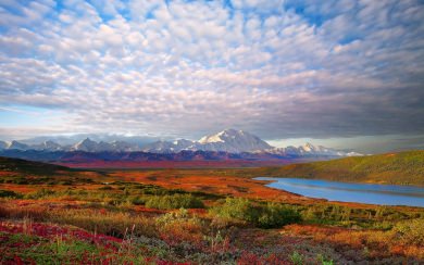 Denali National Park And Preserve Wallpaper iPhone 8 Pictures HD For Android Desktop Background Free Download