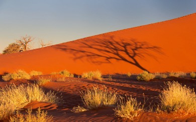 Desert 4K HD For Mobile 2020 iPhone 11 PC