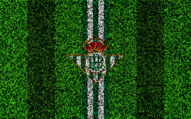Download Real Betis FC 4k logo