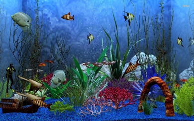 3d Aquarium Wallpaper For Iphone Image Num 35